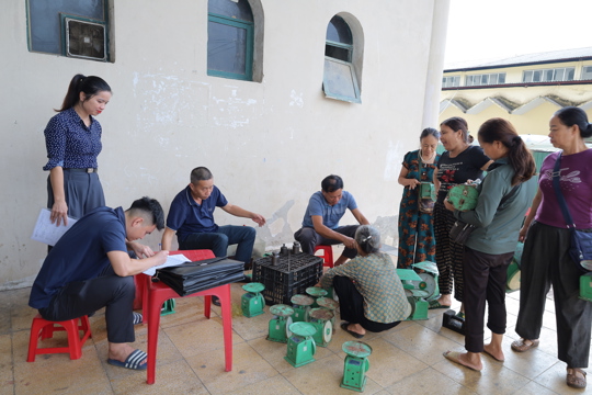 Sơn Tây tổ chức kiểm định miễn phí cân đồng hồ lò xo cho các hộ kinh doanh trên địa bàn